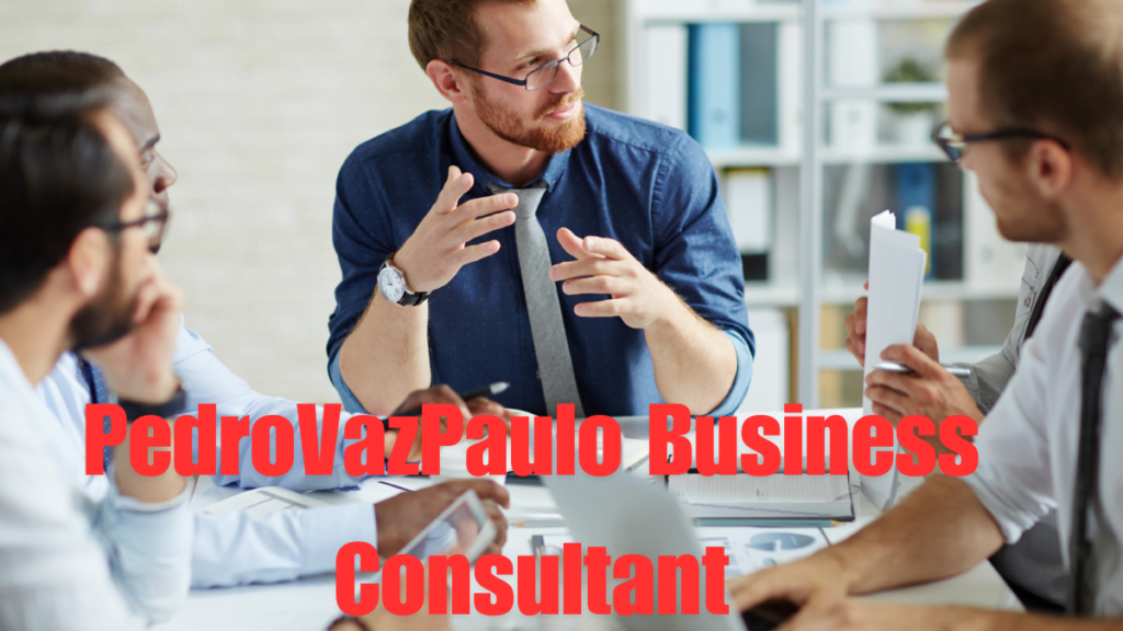 The Expert Guidance of PedroVazPaulo Business Consultant in 2024