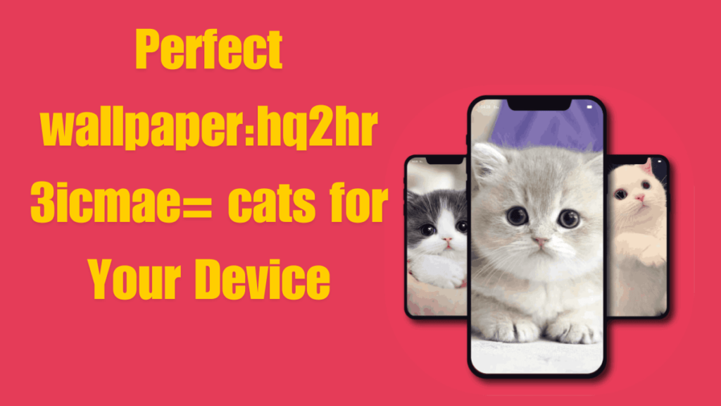 Picking Perfect wallpaper:hq2hr3icmae= cats for Your Device